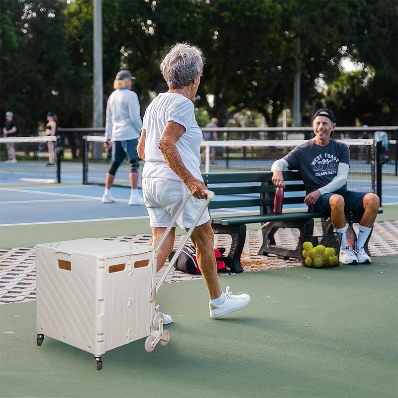Lightweight Brushed Trolley Lu - đánh giá và giá Pull Cart Fold